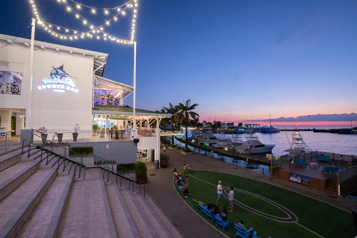 2020 portfolio updates-marina pez vela-6